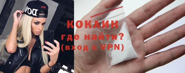 spice Горняк