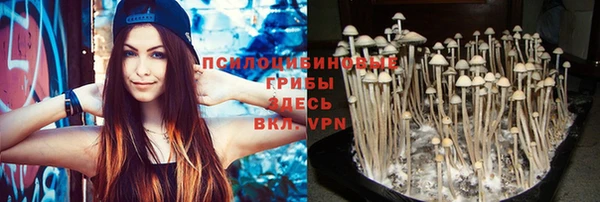 шишки Сосновоборск