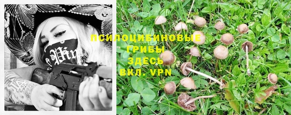 винт Вязьма